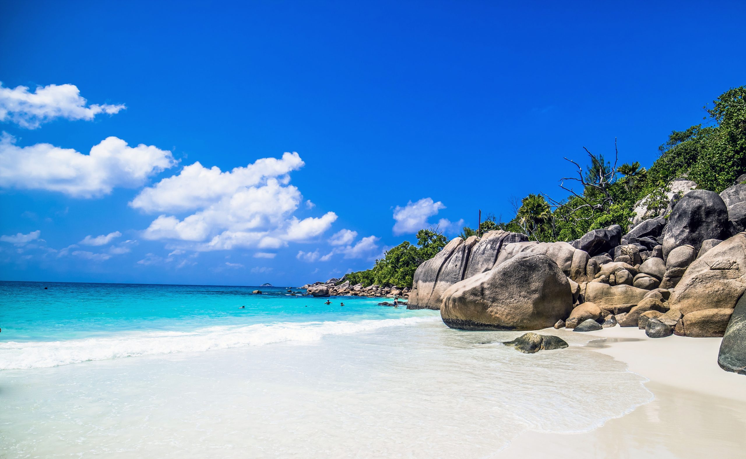 Lire la suite à propos de l’article Points de ventes – Seychelles